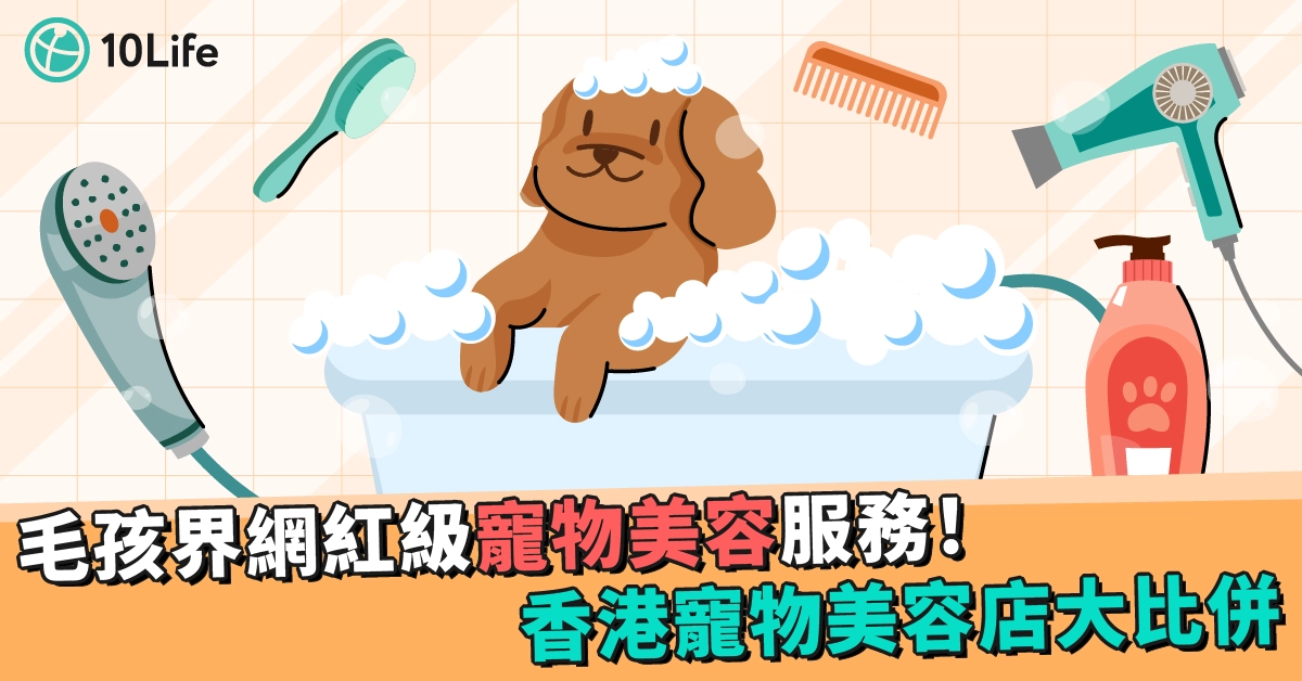 毛孩界網紅級寵物美容服務!香港寵物美容店大比併