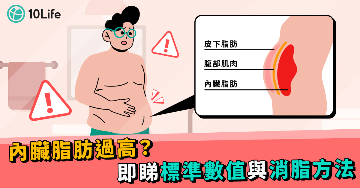 內臟脂肪