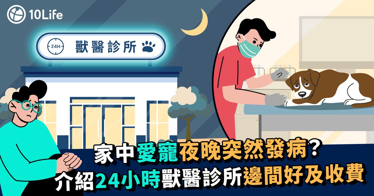 愛寵夜間突然發病，前往24小時獸醫診所檢查