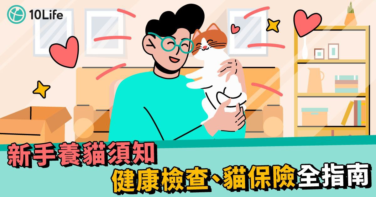 Cat_care_insurance
